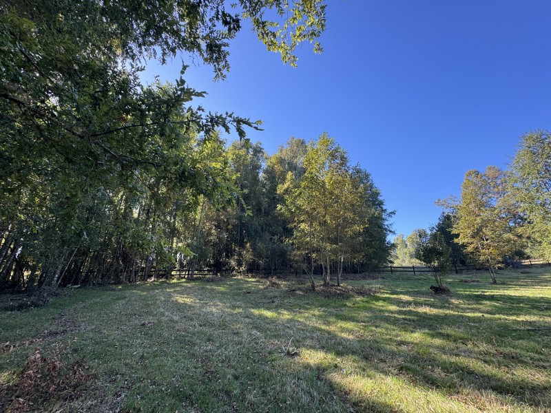 1Km. de Villarrica Por Ruta Segunda Faja Camino A Pucón