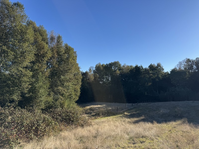 4 Hectáreas 5,5 Km Villarrica Camino Licán 1Km de Ripio