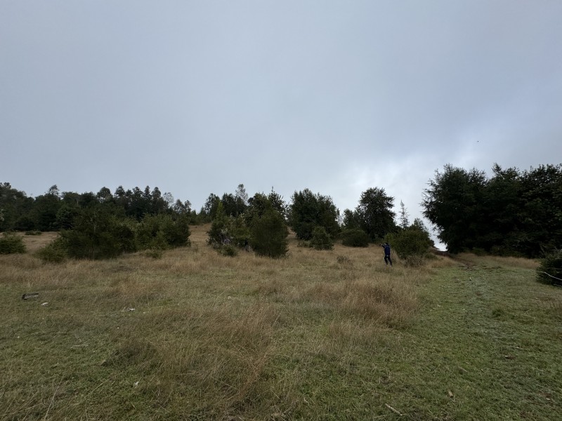 Campo de 23,7 Hectáreas Loncoche, Sector la Paz