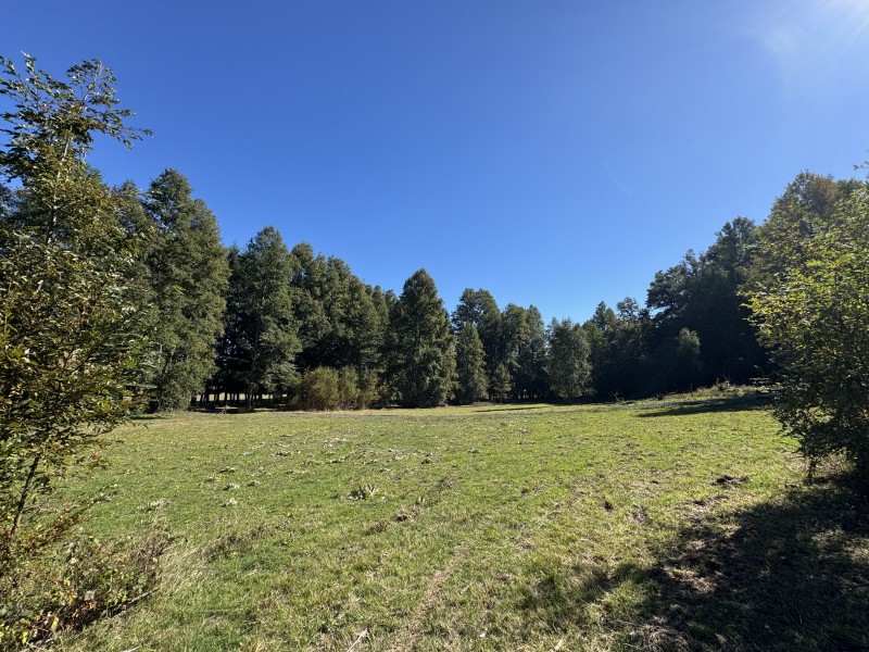 1Km. de Villarrica Por Ruta Segunda Faja Camino A Pucón