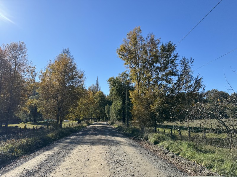 240 Hectáreas 25 Km. de Temuco Sector Huichahue Camino Cunco
