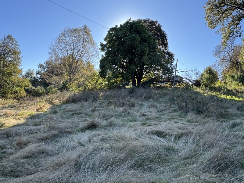 4 Hectáreas 5,5 Km Villarrica Camino Licán 1Km de Ripio