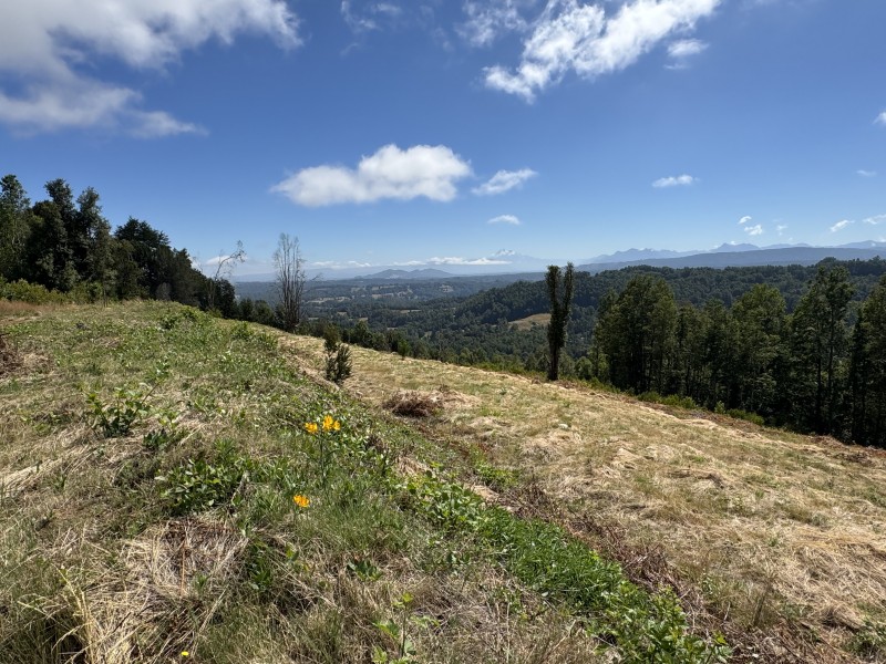 14 Km de Villarrica Vista Lago y Volcán Condominio Pedregoso
