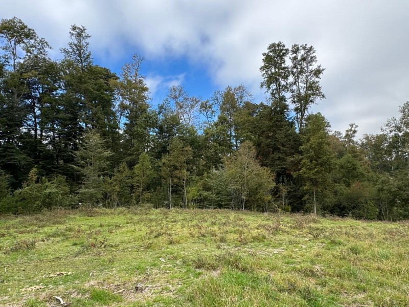 Parcela A 10 Minutos de Villarrica Con Electricidad y Agua.