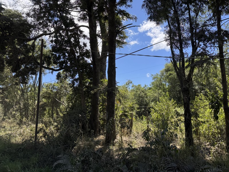 5 Km Licán Ray 10.000M2 Orilla Camino Pino Huacho 200 M Ruta