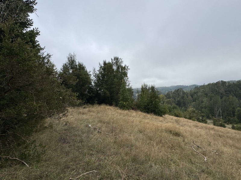 Campo de 23,7 Hectáreas Loncoche, Sector la Paz