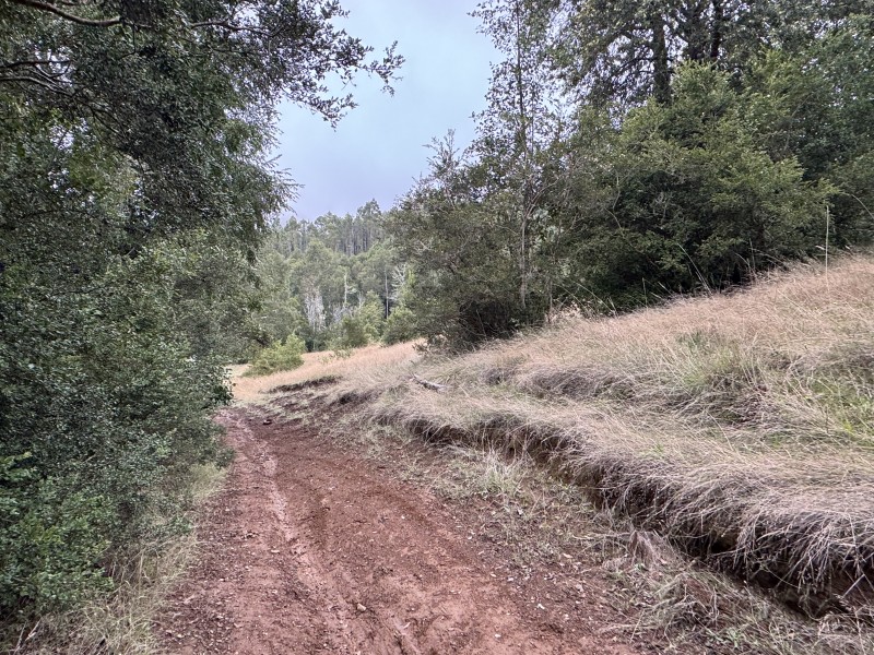 Campo de 23,7 Hectáreas Loncoche, Sector la Paz