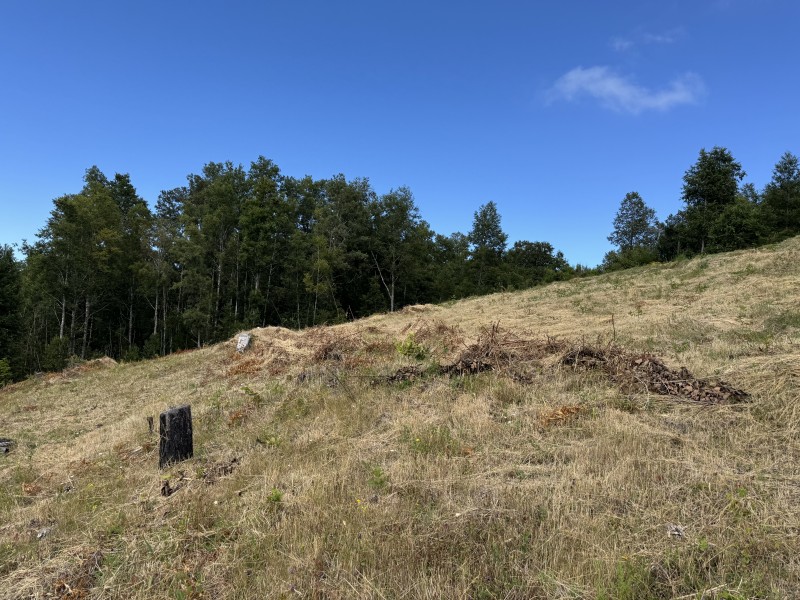 14 Km de Villarrica Vista Lago y Volcán Condominio Pedregoso