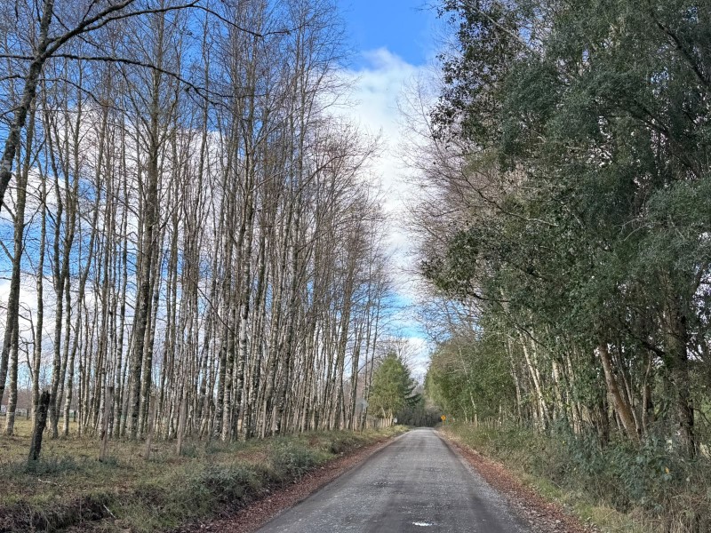 Parcela A 20 Minutos de Villarrica - Sector Liumalla