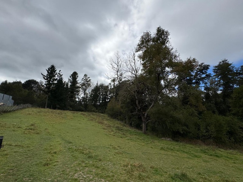 Parcela A 10 Minutos de Villarrica Con Electricidad y Agua.