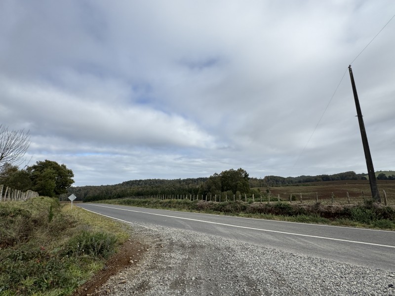 27 Km de Villarrica - Freire Parcela Productiva 3.1 Hás