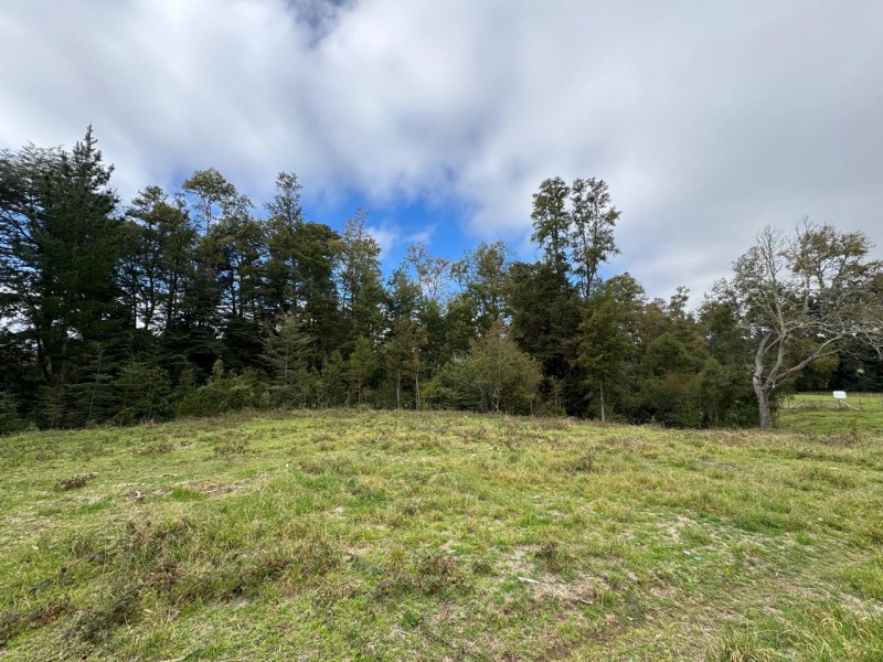 Parcela A 10 Minutos de Villarrica Con Electricidad y Agua.