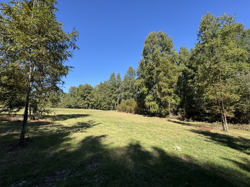 1Km. de Villarrica Por Ruta Segunda Faja Camino A Pucón