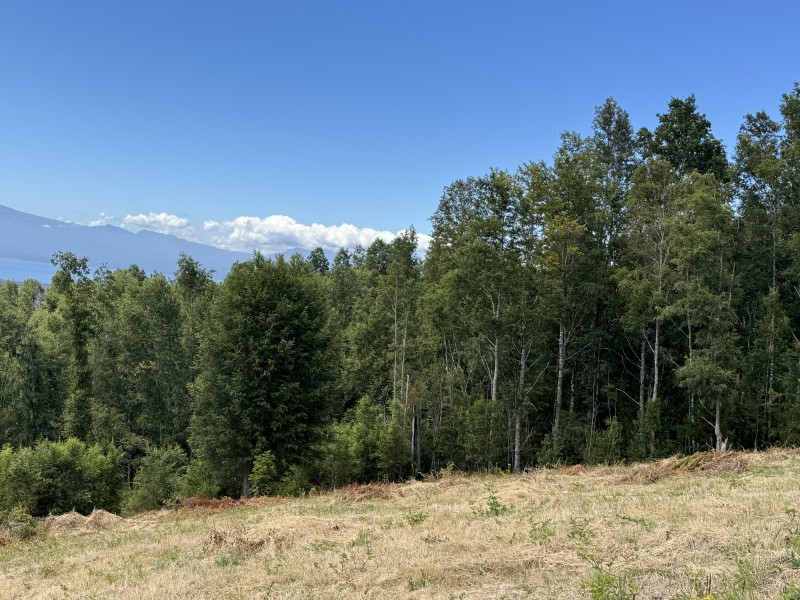 14 Km de Villarrica Vista Lago y Volcán Condominio Pedregoso
