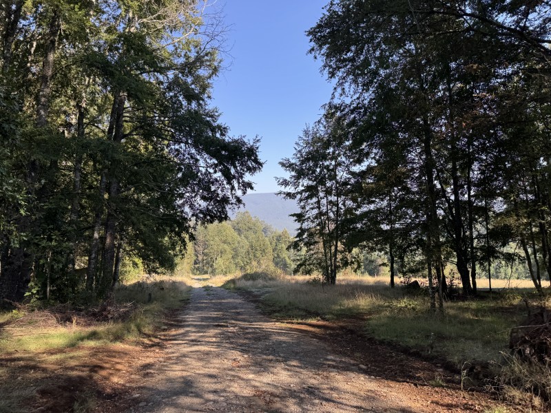 5,5 Km de Villarrica, Sector Collico Camino Licán Ray