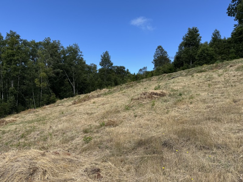 14 Km de Villarrica Vista Lago y Volcán Condominio Pedregoso
