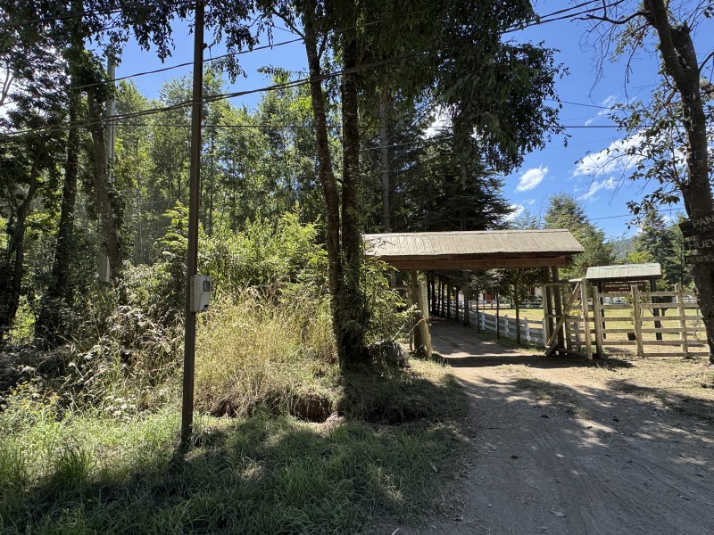 5 Km Licán Ray 10.000M2 Orilla Camino Pino Huacho 200 M Ruta