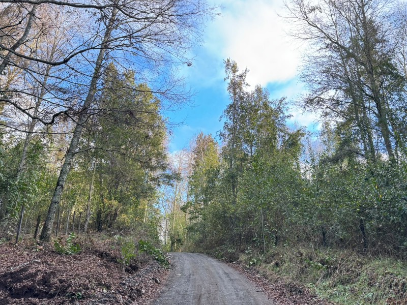 Parcela A 20 Minutos de Villarrica - Sector Liumalla