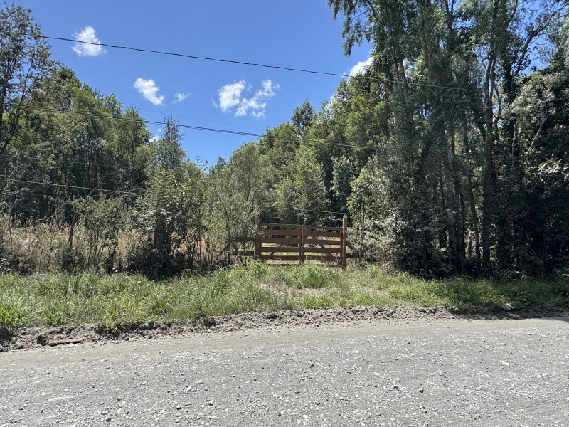5 Km Licán Ray 10.000M2 Orilla Camino Pino Huacho 200 M Ruta
