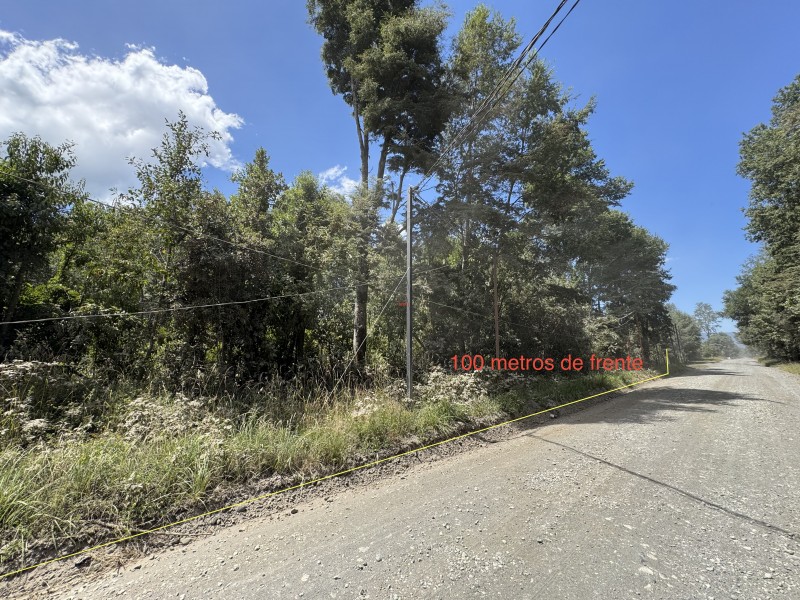 5 Km Licán Ray 10.000M2 Orilla Camino Pino Huacho 200 M Ruta