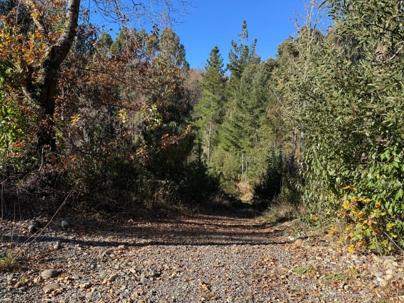 Parcela A 11 Km de Villarrica - Agua y Electricidad