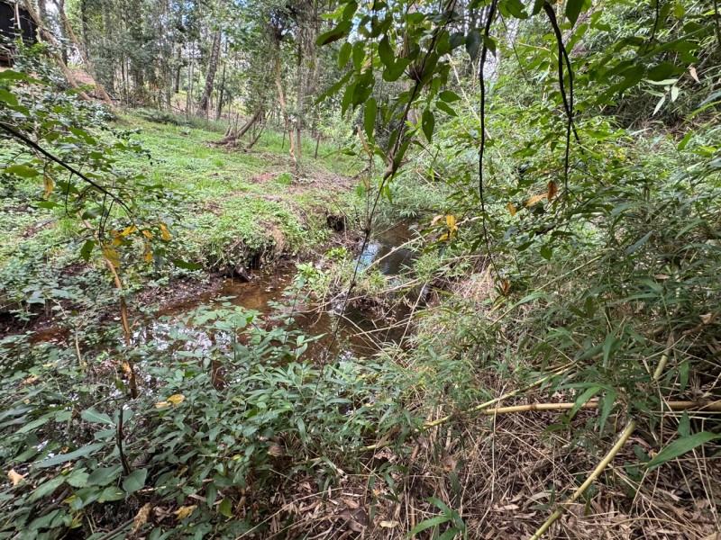 Parcela A 10 Minutos de Villarrica Con Electricidad y Agua.