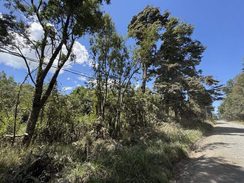 5 Km Licán Ray 10.000M2 Orilla Camino Pino Huacho 200 M Ruta