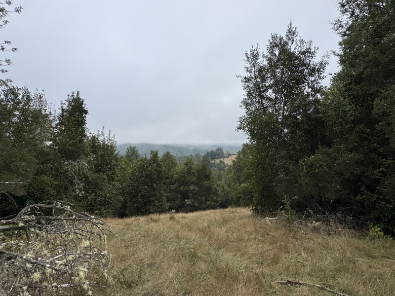 Campo de 23,7 Hectáreas Loncoche, Sector la Paz