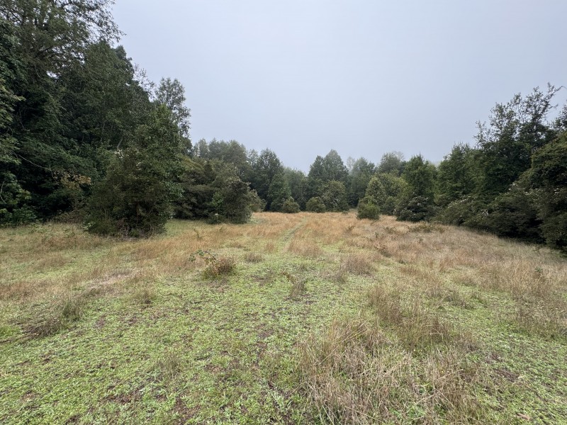 Campo de 23,7 Hectáreas Loncoche, Sector la Paz