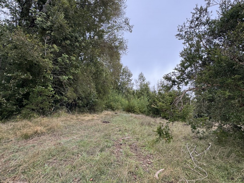 Campo de 23,7 Hectáreas Loncoche, Sector la Paz