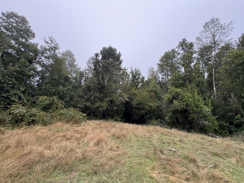 Campo de 23,7 Hectáreas Loncoche, Sector la Paz