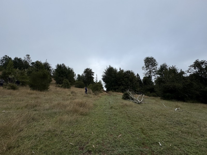 Campo de 23,7 Hectáreas Loncoche, Sector la Paz