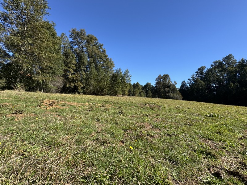1Km. de Villarrica Por Ruta Segunda Faja Camino A Pucón