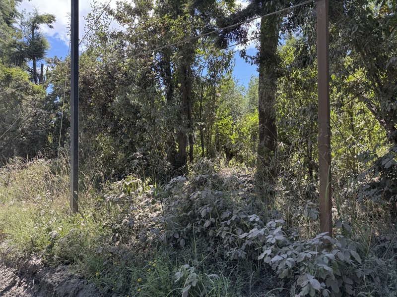 5 Km Licán Ray 10.000M2 Orilla Camino Pino Huacho 200 M Ruta