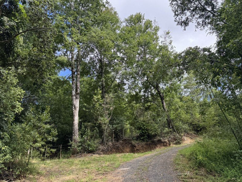 14 Km de Villarrica Vista Lago y Volcán Condominio Pedregoso