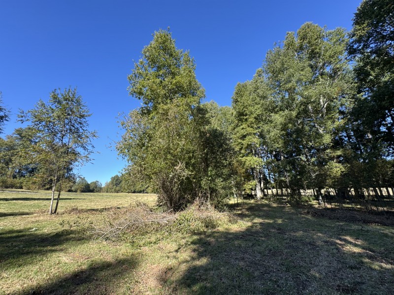 1Km. de Villarrica Por Ruta Segunda Faja Camino A Pucón