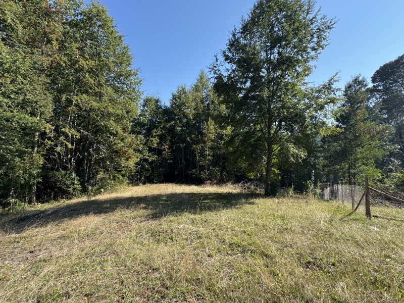 5,5 Km de Villarrica, Sector Collico Camino Licán Ray