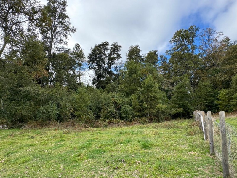 Parcela A 10 Minutos de Villarrica Con Electricidad y Agua.