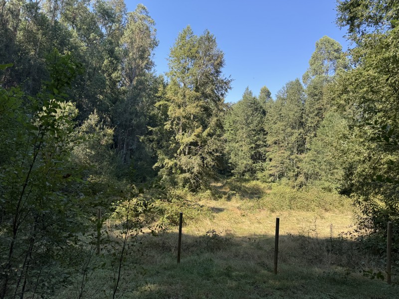 4 Hectáreas 5,5 Km Villarrica Camino Licán 1Km de Ripio