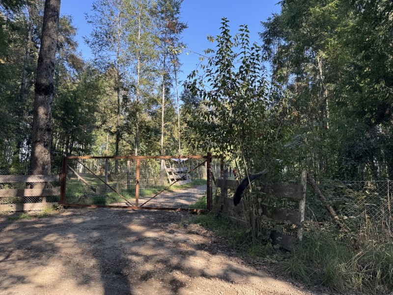 5,5 Km de Villarrica, Sector Collico Camino Licán Ray