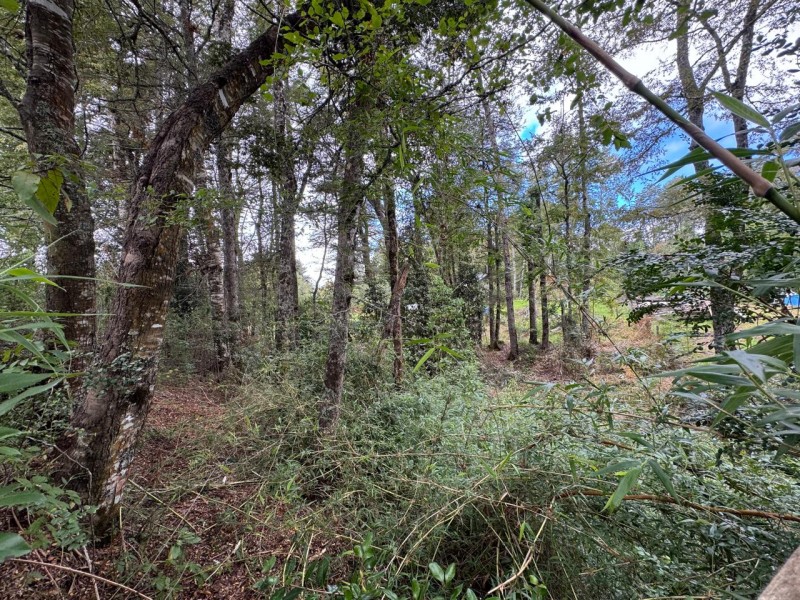 Parcela A 10 Minutos de Villarrica Con Electricidad y Agua.
