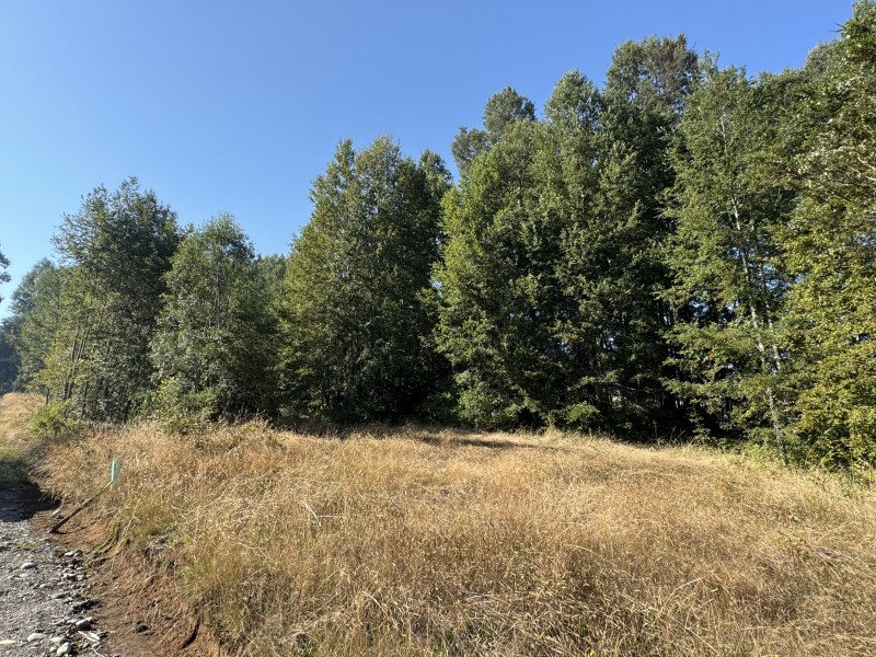 5,5 Km de Villarrica, Sector Collico Camino Licán Ray