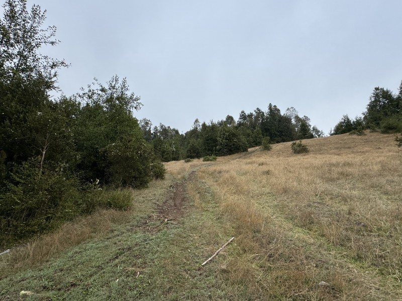 Campo de 23,7 Hectáreas Loncoche, Sector la Paz