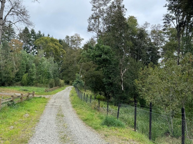Parcela A 10 Minutos de Villarrica Con Electricidad y Agua.