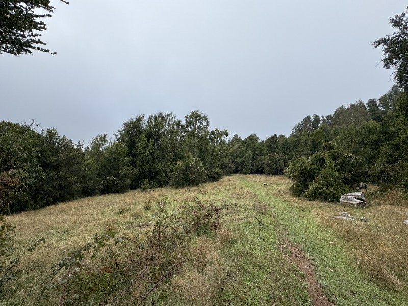 Campo de 23,7 Hectáreas Loncoche, Sector la Paz
