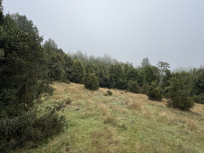 Campo de 23,7 Hectáreas Loncoche, Sector la Paz