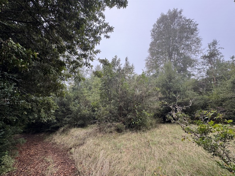 Campo de 23,7 Hectáreas Loncoche, Sector la Paz