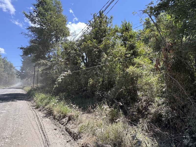 5 Km Licán Ray 10.000M2 Orilla Camino Pino Huacho 200 M Ruta