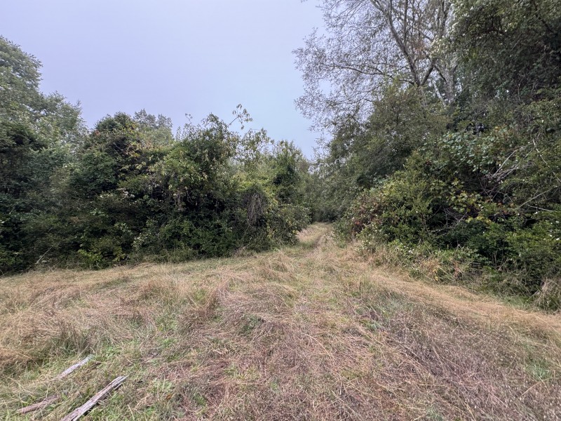 Campo de 23,7 Hectáreas Loncoche, Sector la Paz