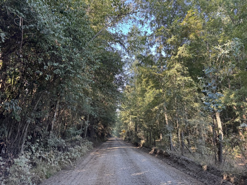 5,5 Km de Villarrica, Sector Collico Camino Licán Ray